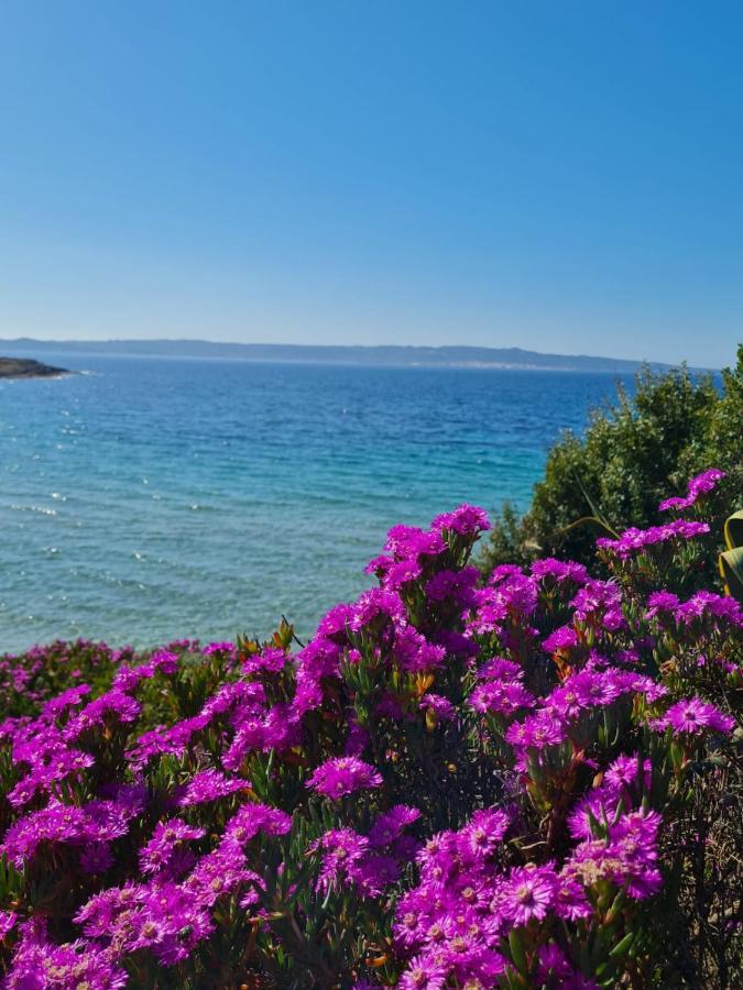 Holiday home Sa Domu Tabarchina *